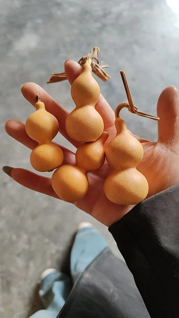 八宝葫芦蚂蚁葫芦