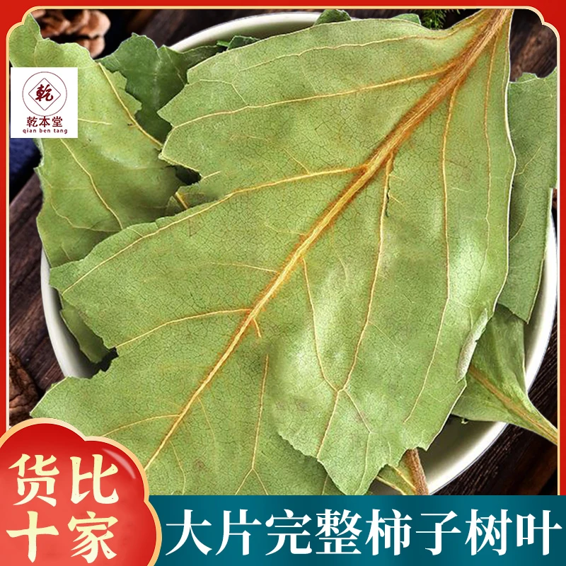 柿子叶干柿子叶手工可打柿子叶粉柿叶霜后柿子树叶冲泡口感清香