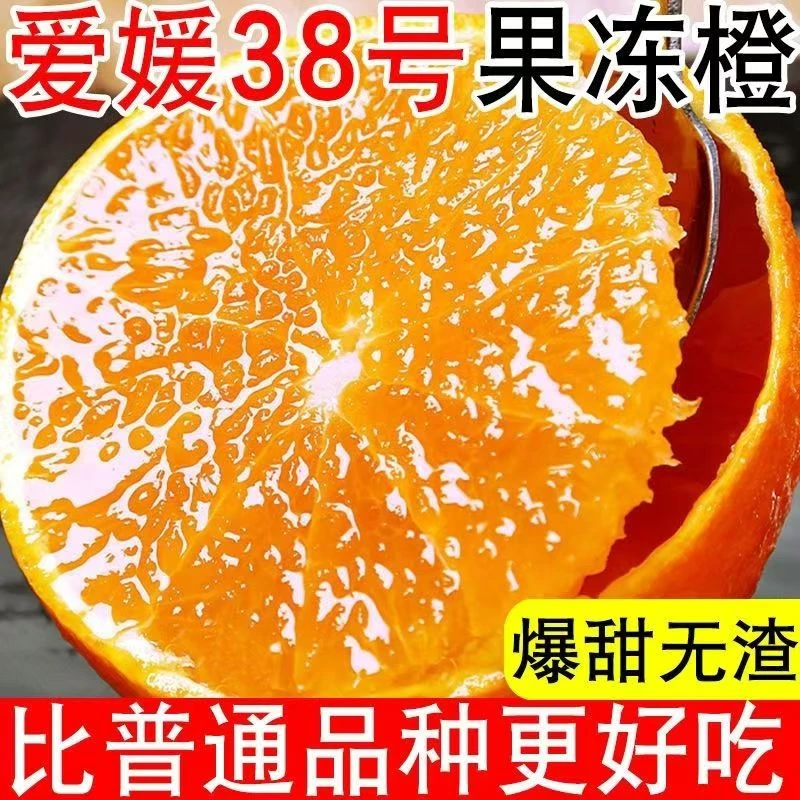 爱媛38果冻橙子四川正宗新鲜水果孕妇薄皮当季柑橘桔子冰糖橙整箱