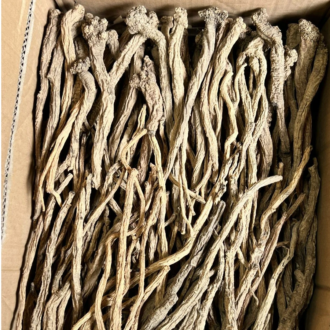 党参潞党参自然生长党参长白山大党参250克500克精选滋补