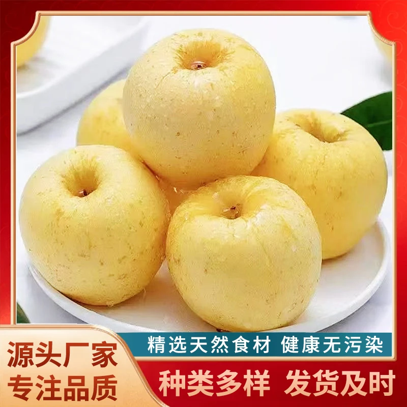 烟台黄元帅苹果非卖品