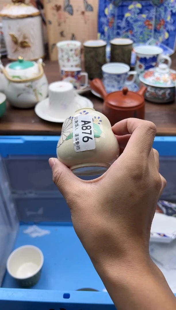 【闪购商品】碟876A