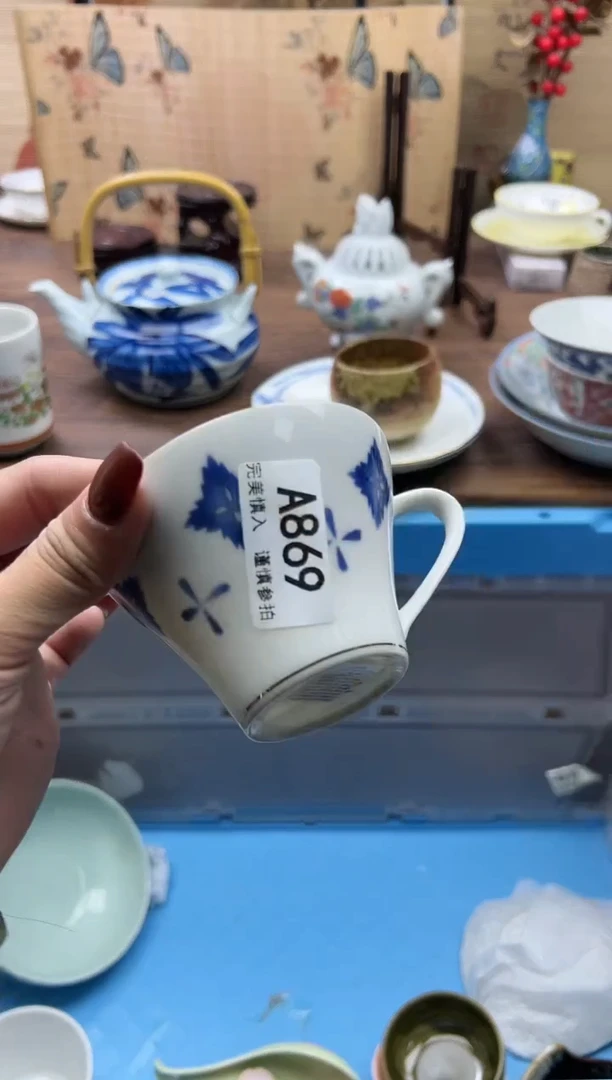 【闪购商品】碟869A