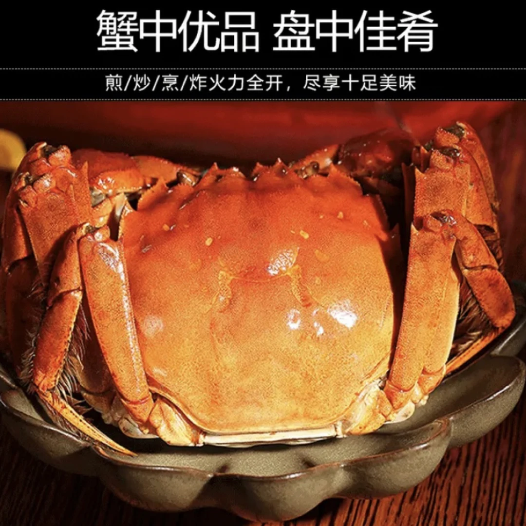 【活蟹】正宗江苏精品蟹全母蟹鲜活精挑螃蟹1.8-2.1两 顺丰发货 8只