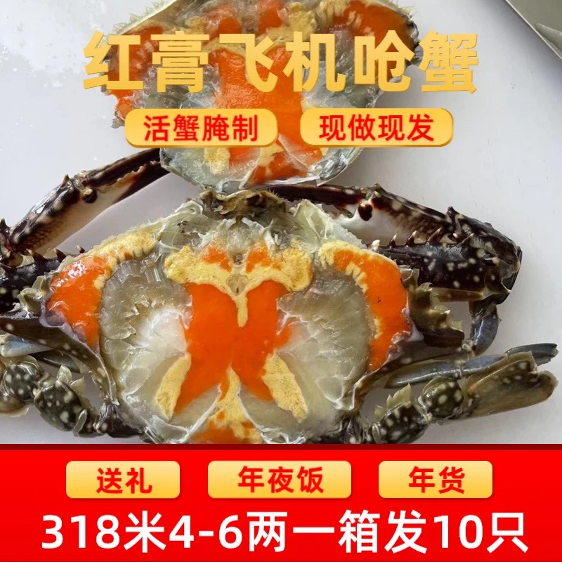 老胡甄选4-6两10只红膏飞机呛蟹