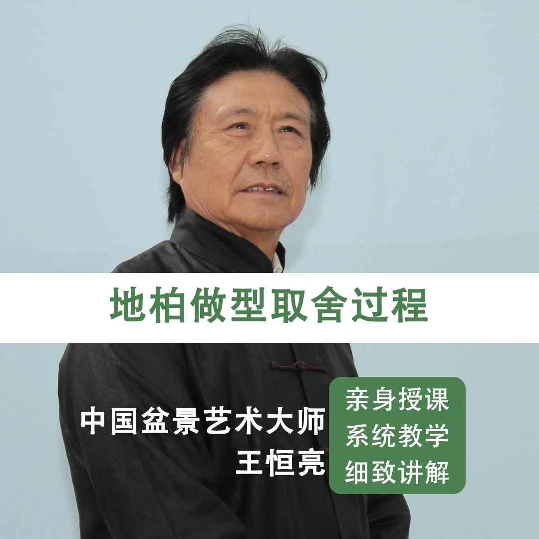 地柏做型取舍过程