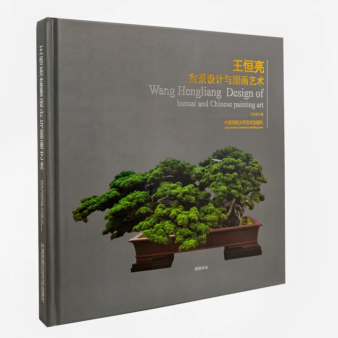 王恒亮盆景设计与国画艺术正版图解树木盆景造型设计盆景国画传承