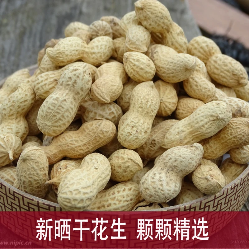 带壳生花生养胃新鲜晒干花生大颗粒白沙种子榨油生吃健康越嚼越香