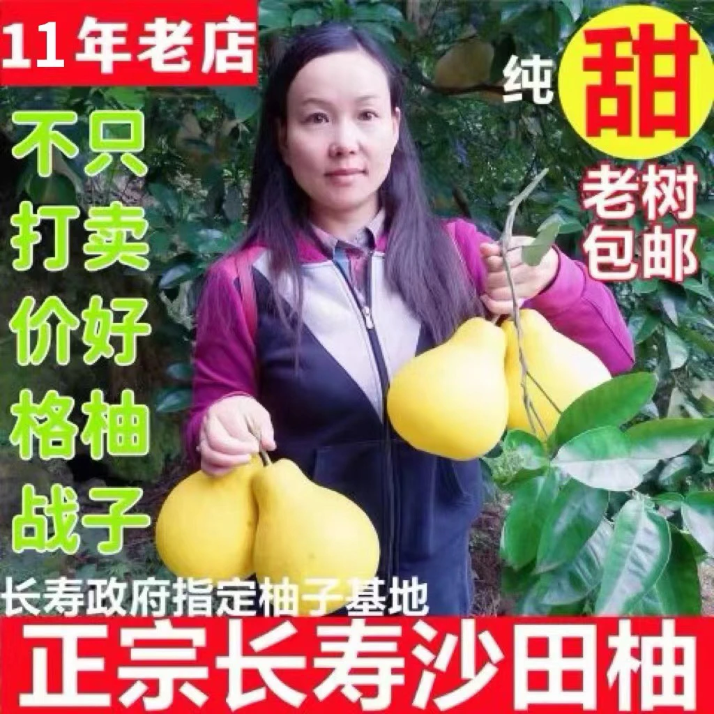 重庆长寿沙田柚正宗老树纯甜现摘孕妇超甜大果包邮非容县梅州柚子