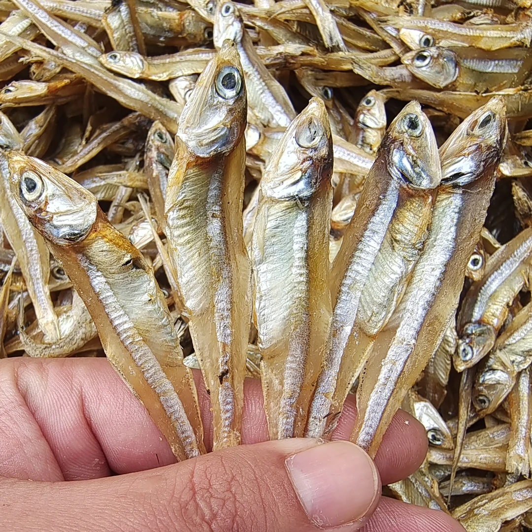 【马鲛仔海产】本港白帆鱼仔干公仔鱼小鱼仔 500g 顺丰包邮 博贺港