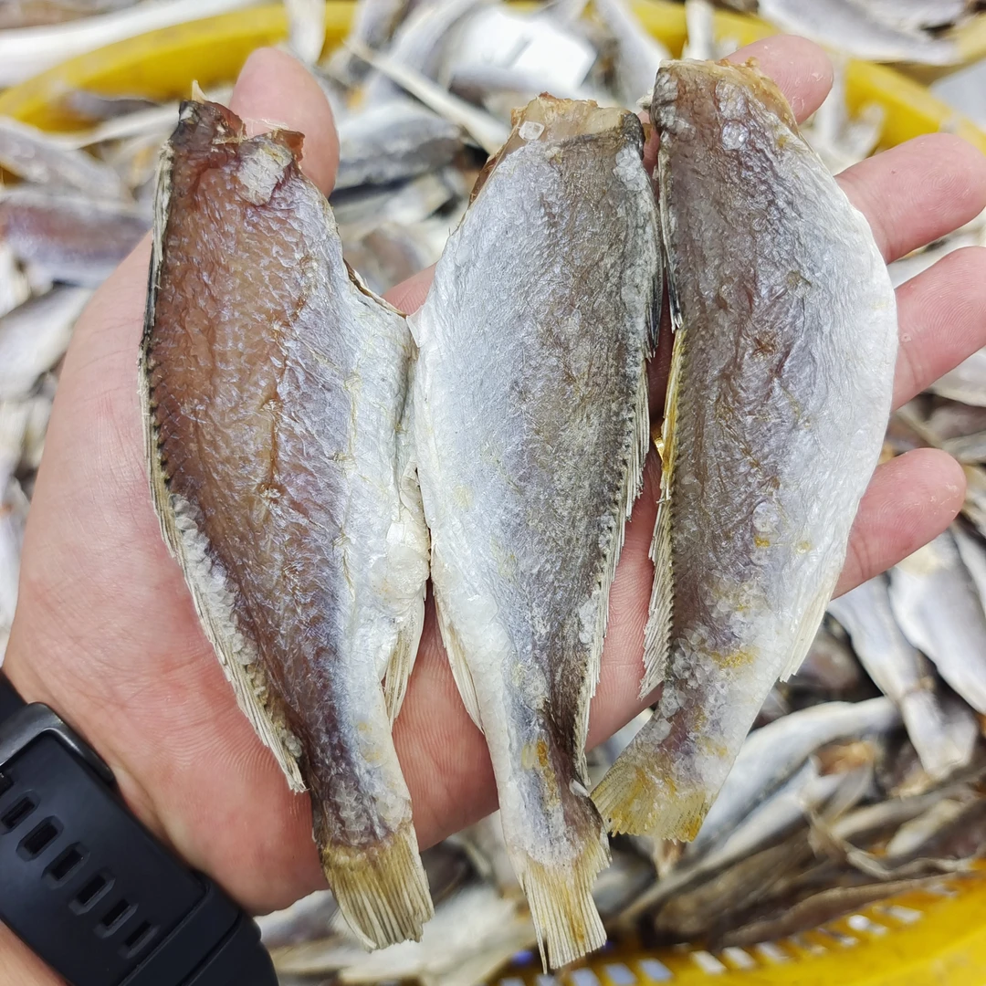 野生划仔鱼干咸鱼干1斤装海产干货广东茂名博贺港包邮