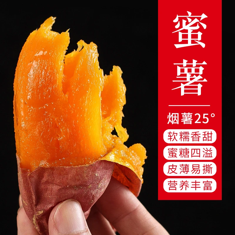 大连瓦房店闫店烟薯25偏大19.9五斤每个4-9两
