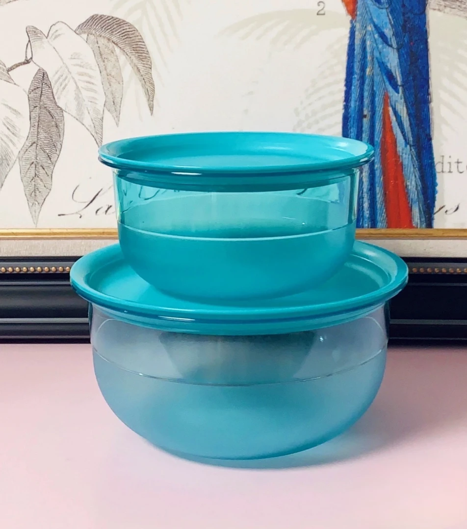 (海)马金紫保鲜盒蓝色冷冻冷藏微波餐具