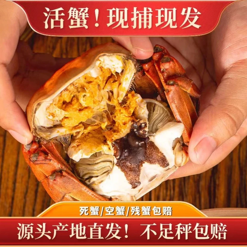 【活蟹】苏州精品大闸蟹3.3-3.6两公2.3-2.6两母现货现发 多送两只