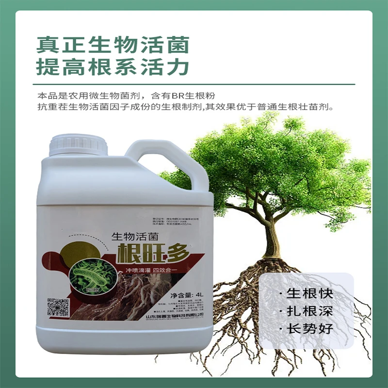 树木移栽生根剂大树生根液植物通用粉营养液果树壮苗剂快速发根