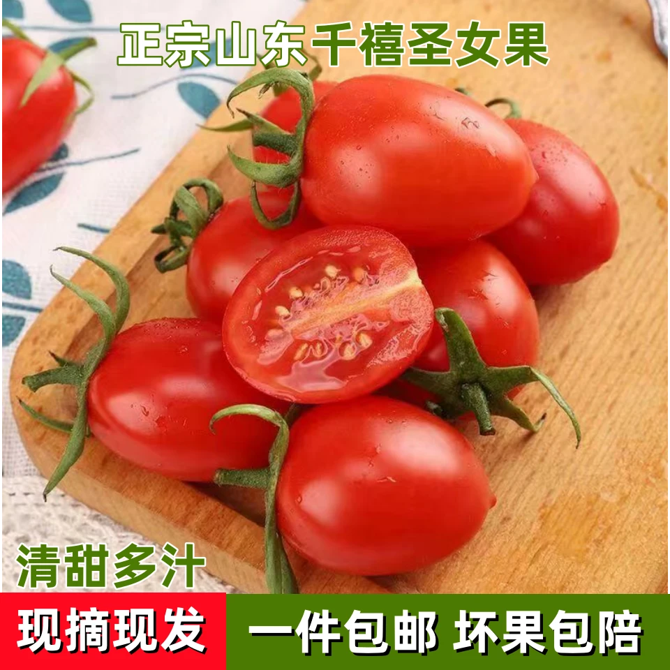 甄选千禧圣女果小番茄新鲜采摘自然熟清甜爽口营养小柿子产地直供