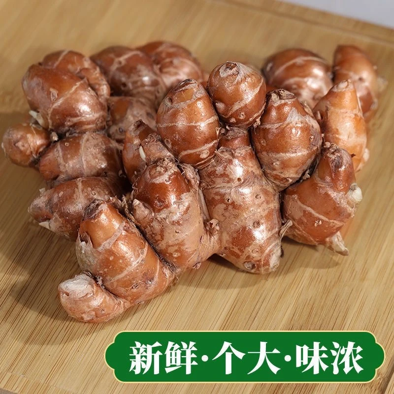新鲜大个香浓沙姜山姜生姜山奈种子白切鸡猪脚卤肉香配料蘸料10斤