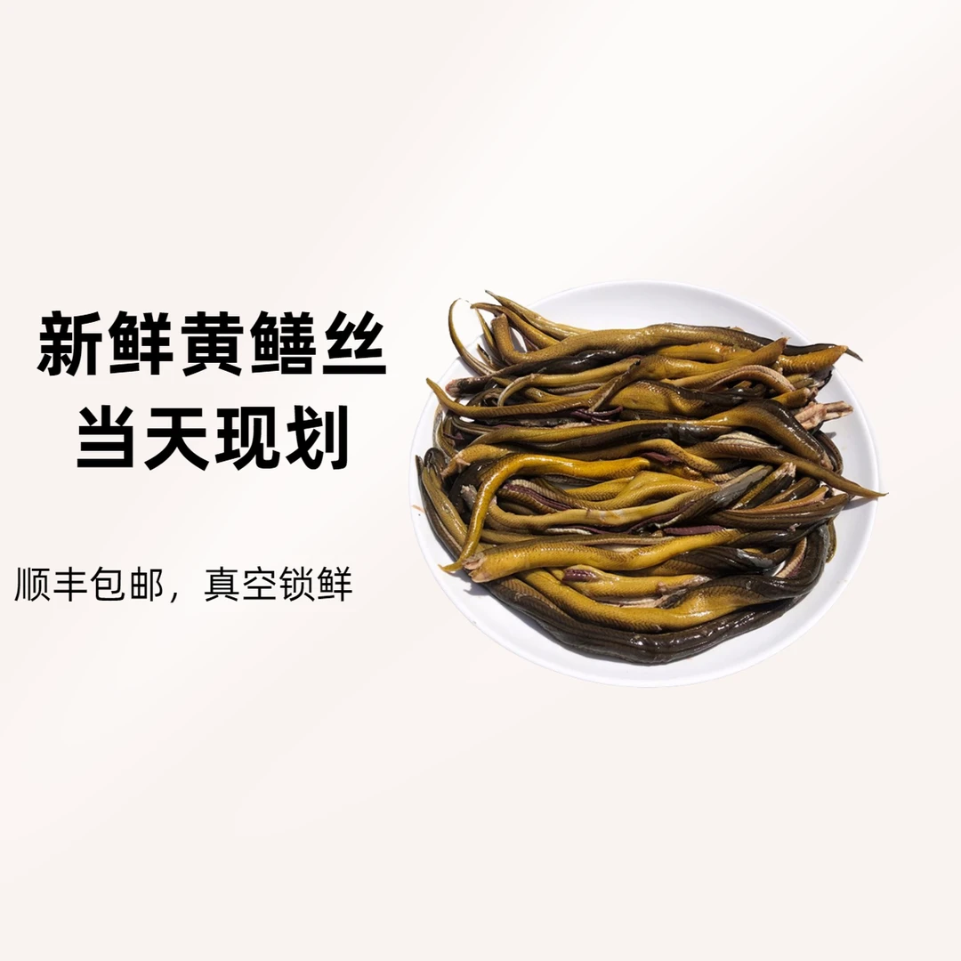新鲜野生鳝丝活黄鳝现杀去骨去头真空保鲜营养鳝鱼丝捕捞原生态