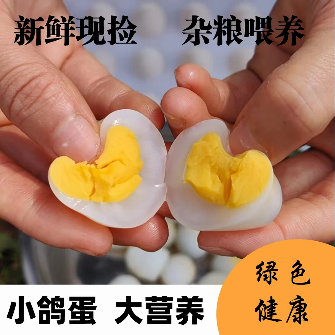 【新鲜现捡】农家新鲜鸽子蛋优质营养孕妇老人孩子大号蛋