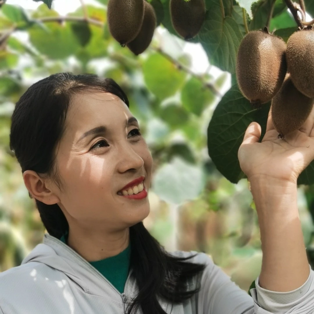 【顺丰偏远地区专享】陕西翠香猕猴桃 新鲜现摘香甜多汁 坏果包赔
