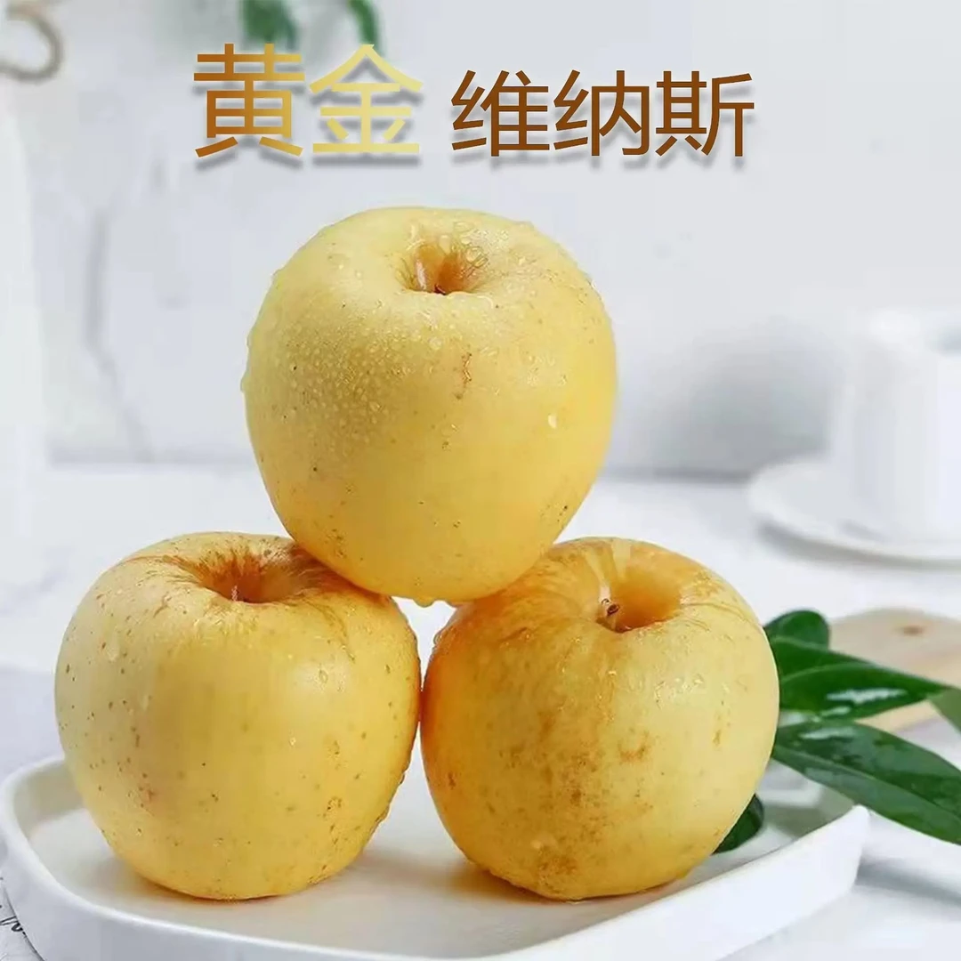 正宗维纳斯黄金苹果新鲜产地直发脆甜多汁非奶油水果富士生鲜食品