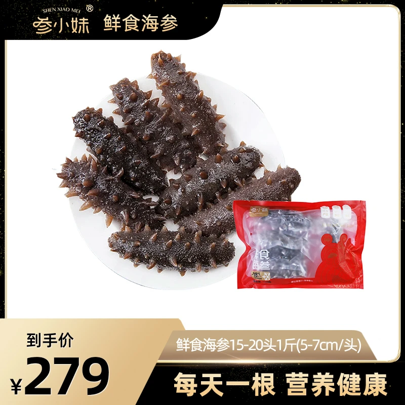 参小妹 鲜食海参一斤热销装正宗大连辽刺参(15-20头/斤 5-7cm/头)
