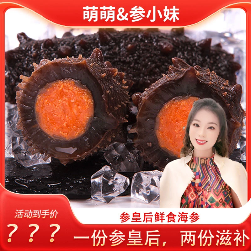 【萌萌推荐】参小妹带籽参母 大连辽刺参 黄金卵鲜食种参