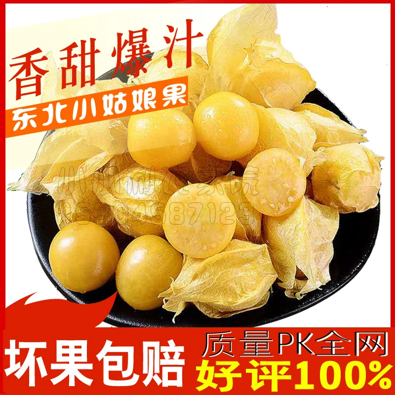 东北特产小姑娘灯笼果新鲜姑鸟时令儿童水果小金豆黄菇娘果 包邮