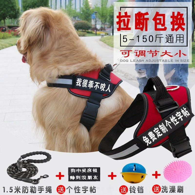 狗狗牵引绳胸背带狗链子大中小型犬狗绳泰迪金毛拉布拉多宠物用品