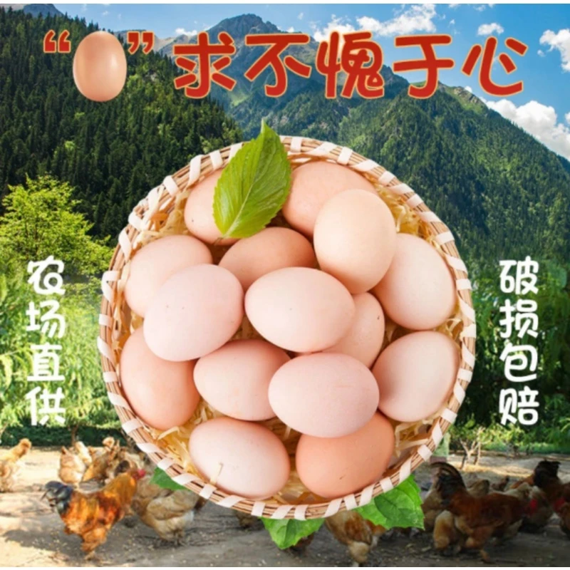 正宗农家散养鲜鸡蛋 现捡现发农家土鸡蛋健康高蛋白高营养鸡蛋