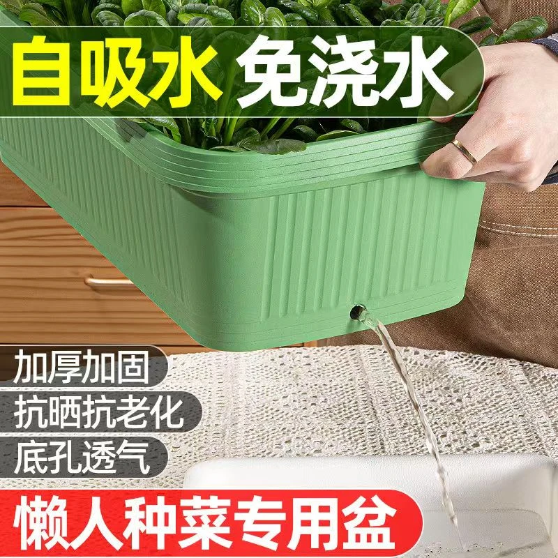 【加大款】种菜专用盆大号种菜盆神器自动吸水花盆储水塑料种植箱