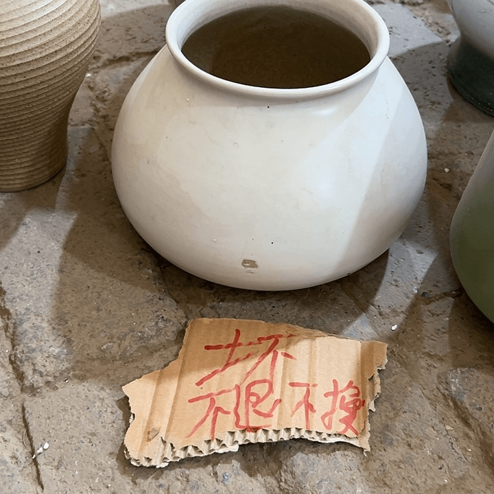 红陶20CM（含）-50CM（不含）
