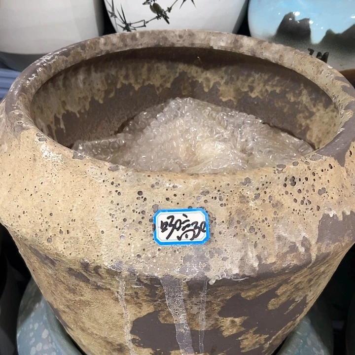 红陶20CM（含）-50CM（不含）