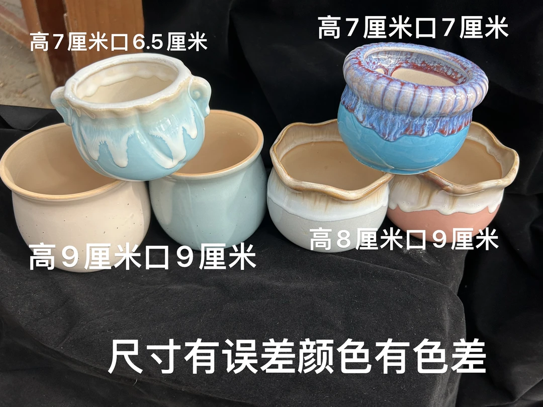 29号   精品小多肉，花盆，小盆栽  拍下联系客服备注