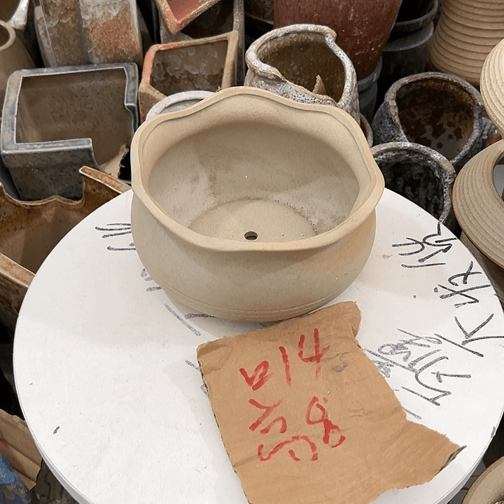 红陶20CM（含）-50CM（不含）