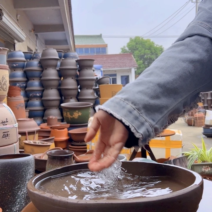 紫砂20CM（含）-50CM（不含）37无孔椭圆