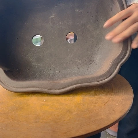 紫砂20CM（含）-50CM（不含）39莲花