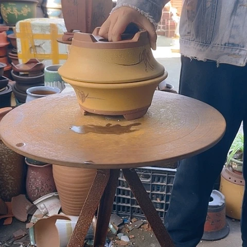 紫砂20CM（含）-50CM（不含）23/23黄票口