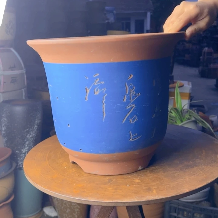 紫砂20CM（含）-50CM（不含）蓝梦大