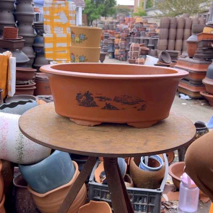 紫砂20CM（含）-50CM（不含）38红椭圆