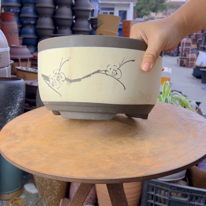 紫砂20CM（含）-50CM（不含）白色绿萝大