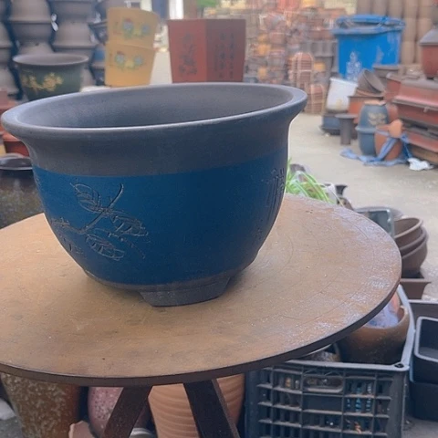 紫砂20CM（含）-50CM（不含）新品蓝大