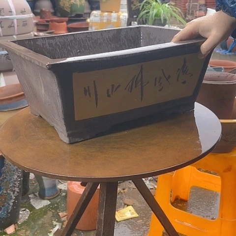 紫砂20CM（含）-50CM（不含）40黄马槽
