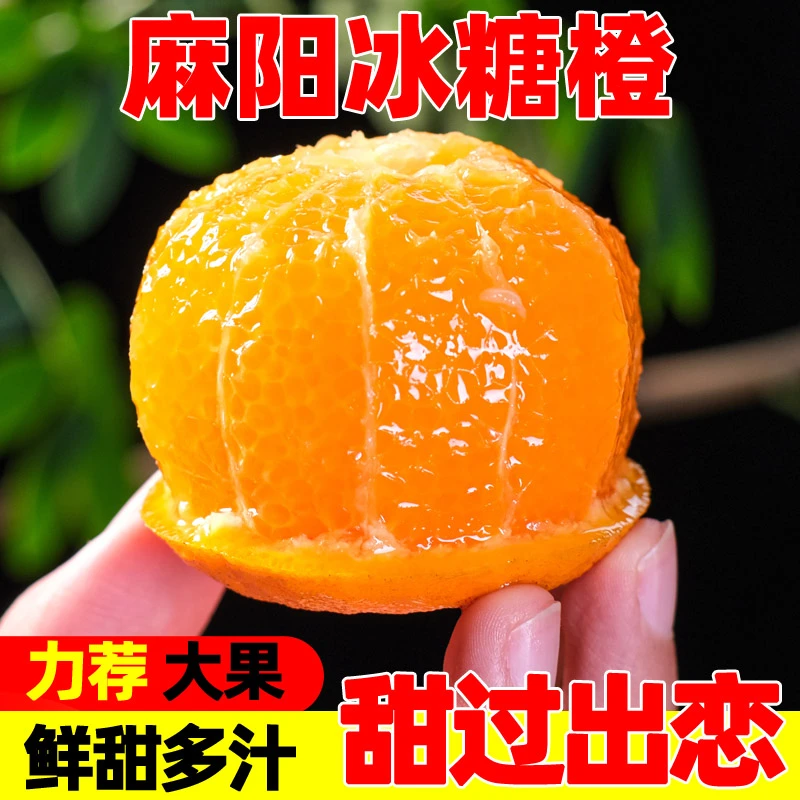 【粉丝补贴】湖南麻阳冰糖橙5斤/9斤 当季新鲜水果脐鲜甜多汁