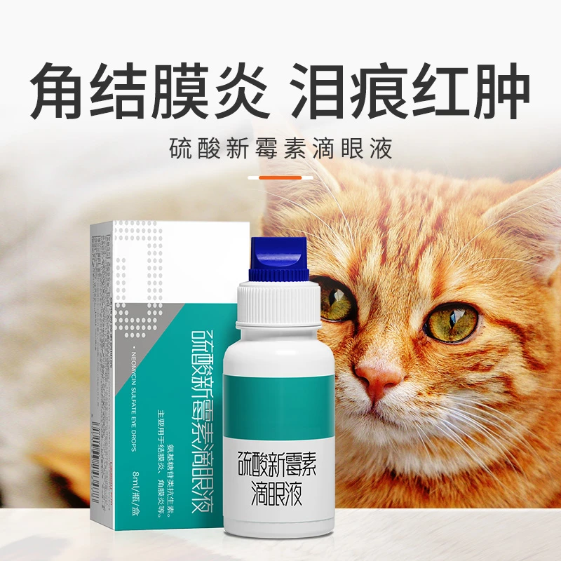 八牧猫咪眼流泪宠物猫咪滴眼液英短狗狗通用消炎外用鼻支