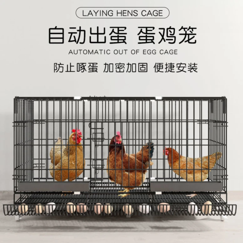 养鸡方便结实镀锌黑色展示热卖加粗养殖鸡笼子易清洗打理拖鸡鸭笼