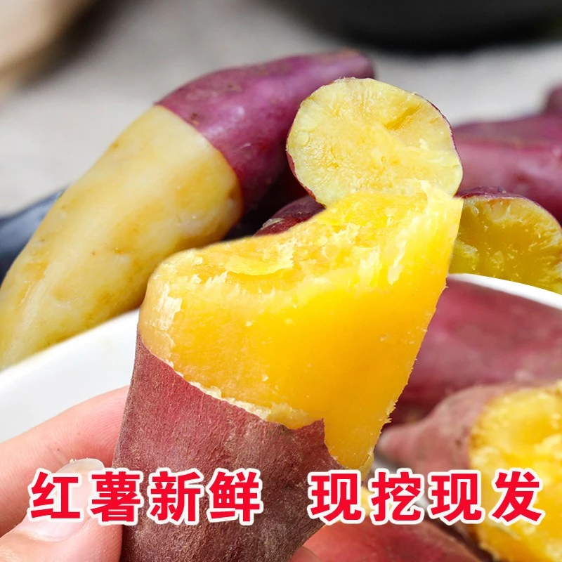 贵州高山小香新鲜食用西瓜红薯5/9斤正宗板栗番薯地瓜沙地黄心烟