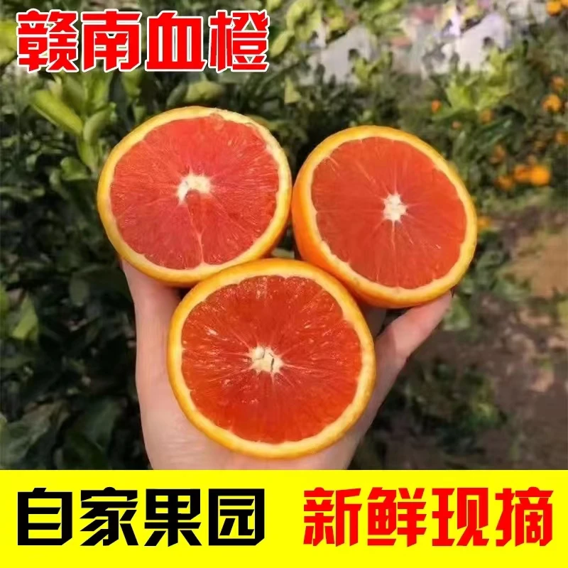 正宗果园江西赣南血橙连箱10斤20斤装现摘现发包邮