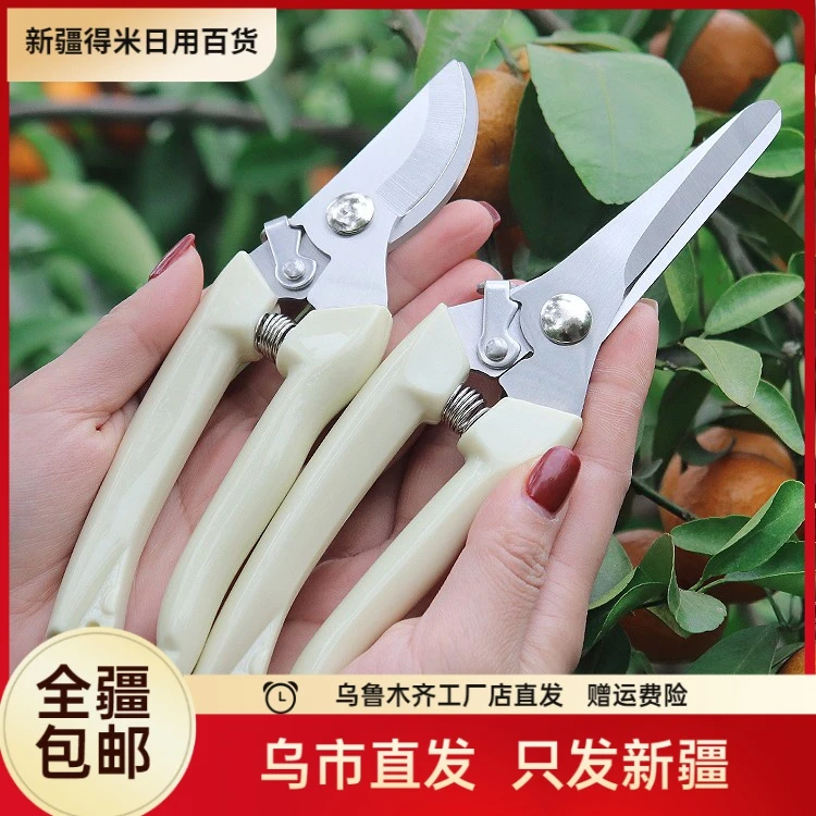 新疆园艺剪刀修枝剪省力修剪树枝果树竹签园林花卉专用花艺剪子