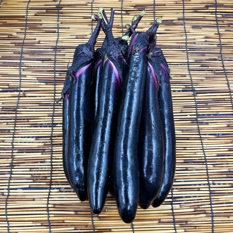 农家新鲜茄子新鲜蔬菜现摘现发湖北老品种长茄子紫线茄子蔬菜新鲜